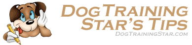 Dog Training Tips Dog Training Tips
