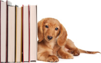 Dog Training Books