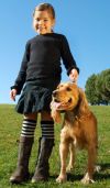 Dog Training Star