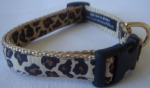 Personalized nylon dog training collar