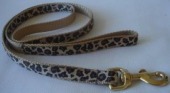 Personalized Nylon Dog Leash