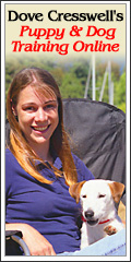 Puppy & Dog Training Online Book