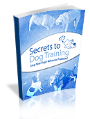 Best Dog Training Book